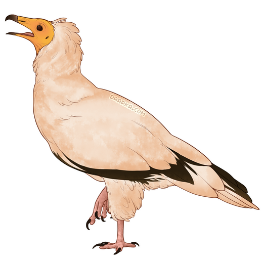 2019