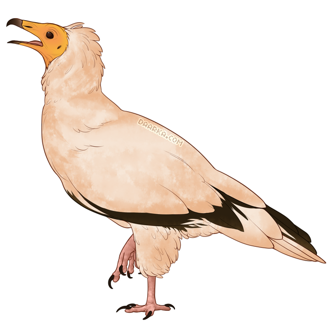 2019